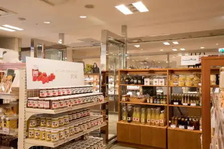 Karuizawa Asama Prince - 11