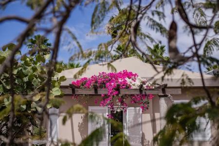 Caybeach Princess - 126