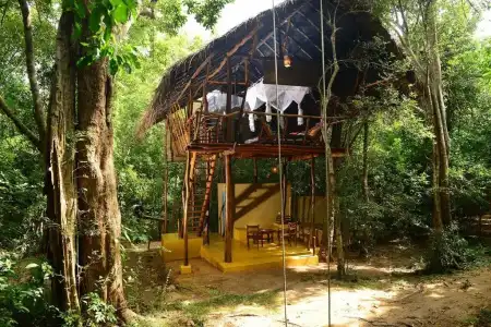 Back of Beyond - Pidurangala - 65