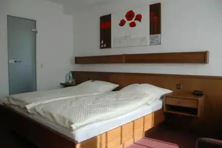 Pension Haus Diefenbach - 50