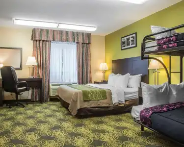 Comfort & Suites - 3