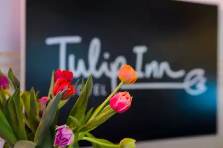 Tulip Inn Ludwigshafen City - 38