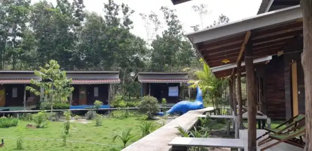 P.D. Guesthouse - 28