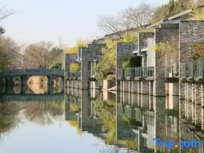 Xixi - 162