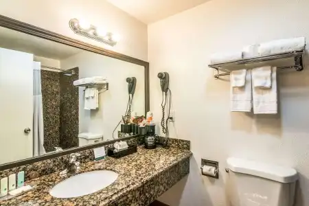 Quality Inn & Suites near Downtown Bakersfield - 9