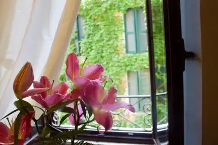 Antica Locanda - 54