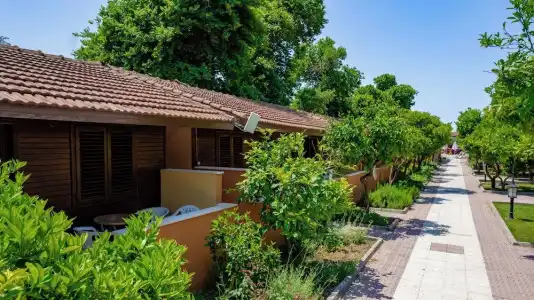 Ozlem Garden - All Inclusive - 59