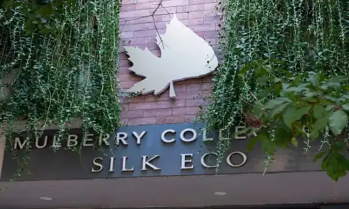 Mulberry Collection Silk Eco - 51