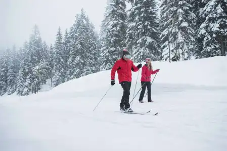 Alpen Ruitor - 18