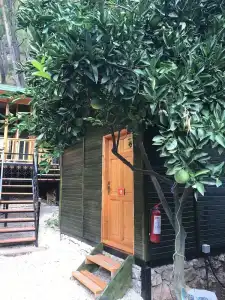 Yakamoz Pansiyon - 12