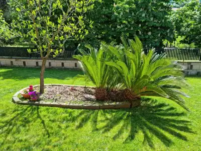Il Casale Nel Parco Guesthouse - 14