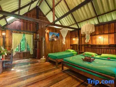 Khao Sok Riverside Cottage - 110
