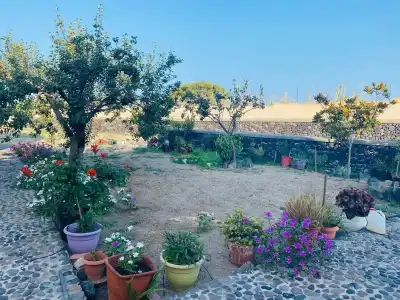 Dagris Villa Studios - 9