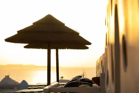 Tagoo - 19