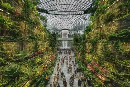 Crowne Plaza CHANGI AIRPORT by IHG - 29