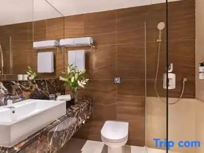 Pullman Singapore Orchard - 53