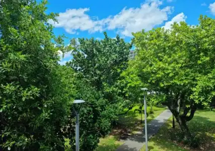 Cairns Private Apartments - 159