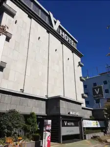 V - 10