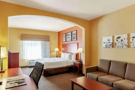 Sleep Inn & Suites Tyler South - 60