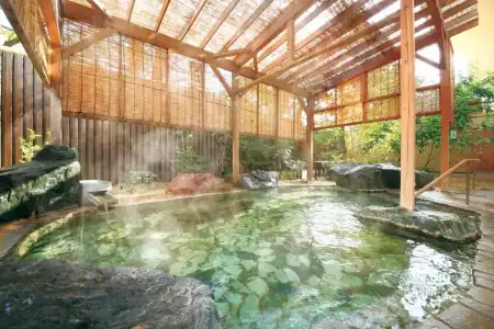 Ooedo Onsen Monogatari Premium Ito New Okabe - 28