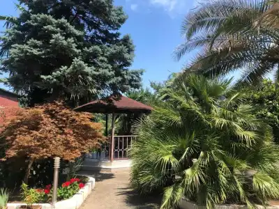 Green Garden - 40