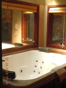 Vedic Village Spa Resort - 116