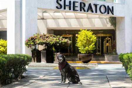 Sheraton Maria Isabel Mexico City Reforma - 34