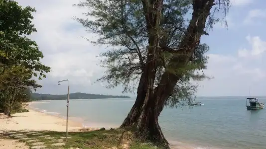 Wild Beach Phu Quoc Resort - 43