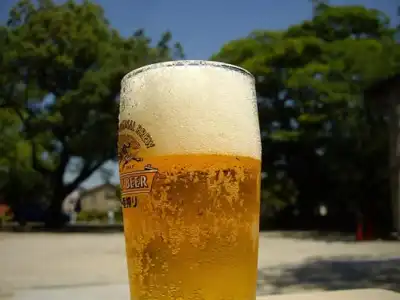Seto Park - 7
