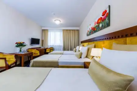 Grein - 16