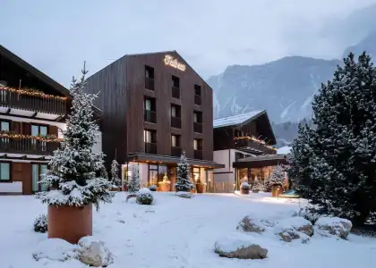 Faloria Mountain Spa Resort - 49