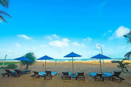 Beacon Beach - 21