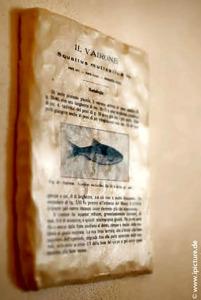 Casa Carlo Magno - 22