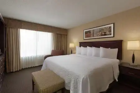 Embassy Suites Lubbock - 2