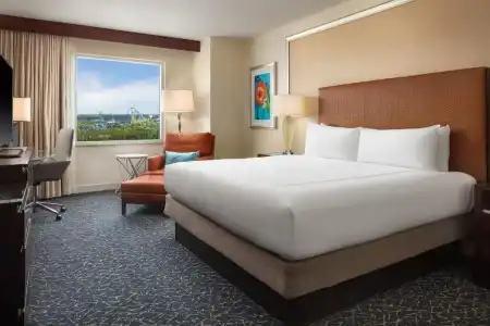 Hilton Orlando - 37