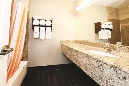 La Quinta Inn by Wyndham Sandusky near Cedar Point - 24