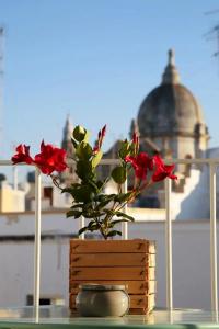 Santa Maria 24 Guest House - 7