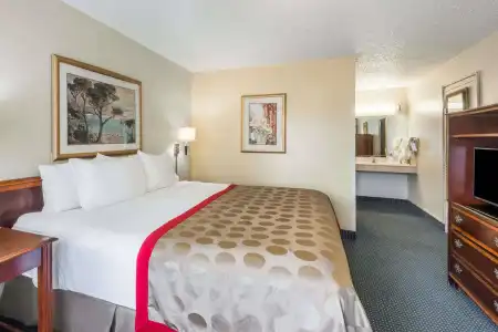 Ramada by Wyndham New Braunfels - 1