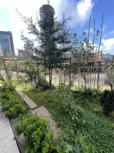 Near Palace - 0