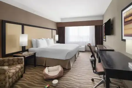 Best Western Premier Freeport Inn Calgary Airport - 96