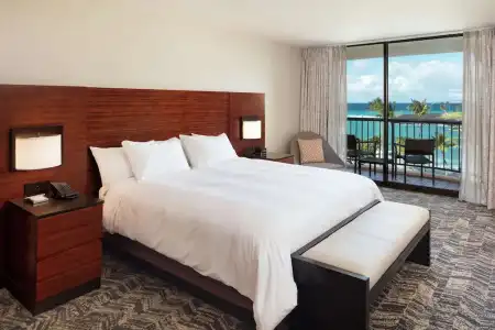 Hilton Waikoloa Village - 340