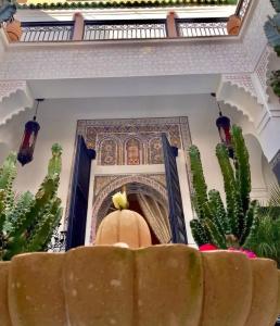 Riad Tachchaqa - 71