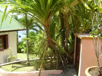 Chalets Bougainville - 91