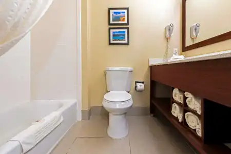 Comfort Suites University Las Cruces - 7