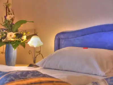 Vogel Appartements & Spa - 0