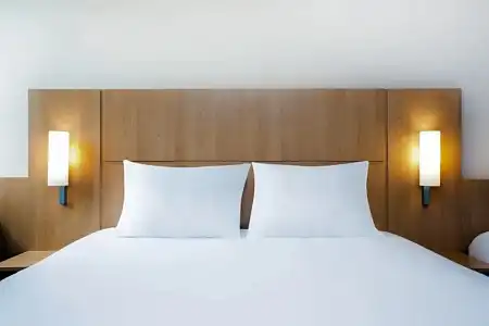 ibis Lausanne Crissier - 60
