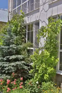 Panorama - 3