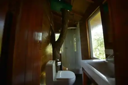 Pinthaliya Resort & Spa - 60