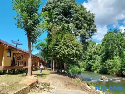 Khaosok Rainforest Resort - 118