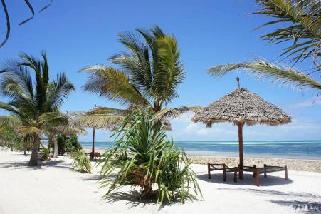 Uroa Bay Beach Resort - 32